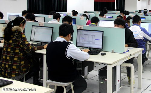 計算機技術開發 理科男生的黃金賽道，就業率高前景廣闊